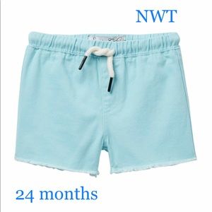 NWT 24m Sovereign Code Shorts